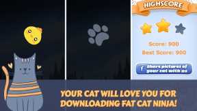 APP fat cat ninja - game for cats