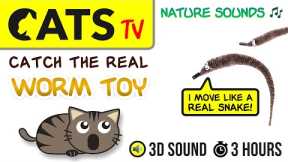 GAME FOR CATS - Real Worm Toy [CATS TV] 60FPS - 3 HOURS