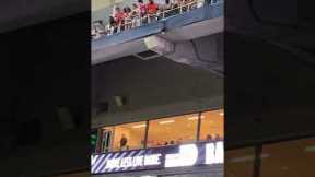 Cat falls from up deck at UM vs. App State Game!!!