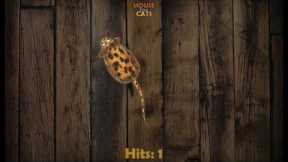 Video for Cats - Mouse for Cats: iPad game for cats app