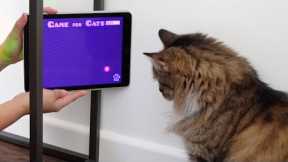 MY CATS Play APP GAMES!