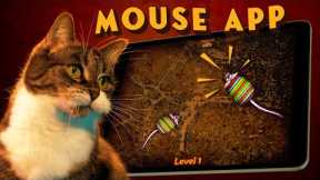 One Cat One Toy One Minute Review: MOUSE FOR CATS app on iPad