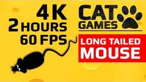 CAT GAMES - 🐭 LONG TAILED MOUSE (ENTERTAINMENT VIDEO FOR CATS TO WATCH) 4K 60FPS 2 HOURS