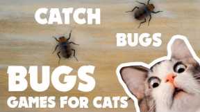 CAT GAMES ★ BUGS on the screen  ★ games for cats