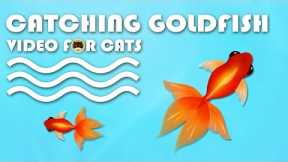 CAT GAMES FISH - Catching Goldfish! Fish Video for Cats to Watch.