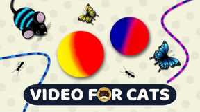 CAT GAMES - Catch the Rolling Ball, Mice, Ants, Strings, Butterflies | Video for Cats | CAT TV.