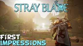 Stray Blade First Impressions Is It Worth Playing?