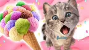 Little Kitten Preschool Adventure Educational Games -Play Fun Cute Kitten Pet Care Learning #435