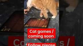 #cat #games #app , follow us and get the app link below , 5 more videos check the app features
