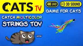 CAT GAMES - CATCH multicolor string ribbons 😼🎗️ 4K [Cats TV] 🕒 3 hours