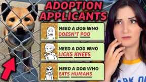 I Tried Working At A Dog Shelter …but Only Creepy People Wanted To Adopt Them