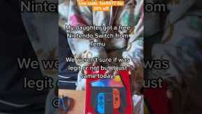 My temu Nintendo Switch review