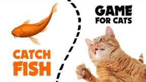 CAT GAMES  ★ catching FISH 1 hour