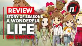 Story of Seasons: A Wonderful Life Nintendo Switch Review - Is It Worth It?