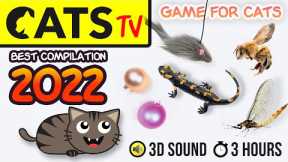 GAME FOR CATS - BEST 2023 Cats TV compilation 🦎🪩🐭 [60fps] 3 HOURS
