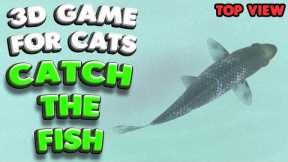 3D game for cats | CATCH THE FISH (top view) | 4K, 60 fps, stereo sound