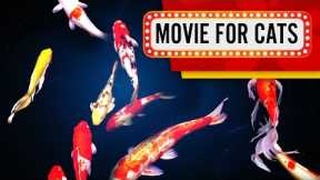 MOVIE FOR CATS - Mesmerizing Koi Carps! (Video for cats to watch) 3 Hours 4K