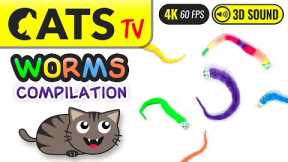 GAME FOR CATS - Worms compilation 😼 4K 🔴 60FPS 🕒 3 HOURS [Cats TV]