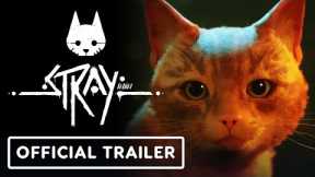 Stray - Official Xbox Launch Trailer