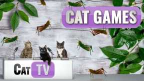 CAT Games | The Great Grasshopper Game | Cat TV 4K | Bug Videos For Cats to Watch | 😼 🦗
