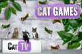 CAT Games | The Great Grasshopper