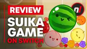 Suika Game (Watermelon Game) Nintendo Switch Review - Is It Worth It?