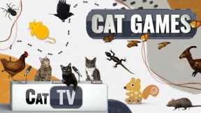 Cat Games | Ultimate Cat TV Compilation Vol 10 | 1 HOUR 🐱📺🐔🦋🐁🦎🦟🎾🐟