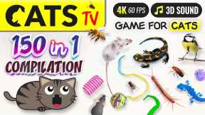 CATS TV - 150 in 1 Ultimate Compilation 🙀 Game for cats 🐭🐤🐝 10 HOURS 🕚 4K