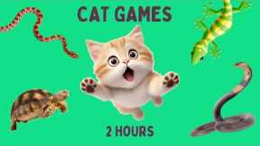 Cat Games - Lizard, Cobra, Snake, Turtles Running on Screen for your Cat to Play
