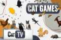 Cat Games | Ultimate Cat TV