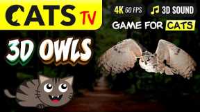 GAME FOR CATS - 3D Owl Birds 🦉 4K 🔴 60FPS 😻 CAT TV
