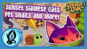 Sunset Siamese Cats, Pet Snails and More! | Animal Jam