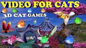 Videos for Cats to Watch - 3 Hour Birds 3d Cat Game - Cat TV Bird Watch