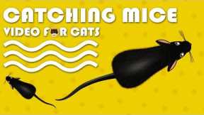 CAT GAMES - Catching Mice! Entertainment Video for Cats to Watch | CAT & DOG TV.