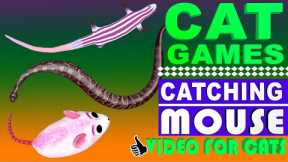 GAME FOR CATS - BEST 2023 Cat Games - Mice, Skink, Lizards & Snake Video for Cats!