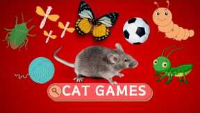 Cat Games - Balls, Lizards, Flies, Mice Run On The Screen For Your Cat To Play | CatTV