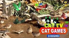 CAT TV | ENTERTAINMENT VIDEO FOR CATS TO WATCH 4K 8-HOURS NON-STOP FUN FOR CATS | 🐱