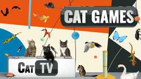 CAT Games | Ultimate Cat TV Compilation Vol 19 | 2 HOURS 🐝🐞🦋🦎🦜🐜🐭🧵