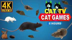 Cat Games - Realistic Mouse Games for Cats - Mouse Hide & seek and play on Screen - 8 Hour 4k UHD