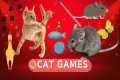 Cat Games | Games For Cats To Watch