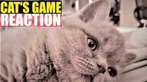 CAT REACTION TO GAME APP FOR CATS