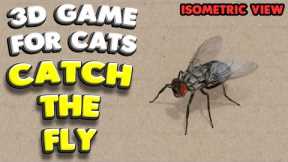 3D game for cats | CATCH THE FLY (isometric view) | 4K, 60 fps, stereo sound