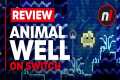 Animal Well Nintendo Switch Review -