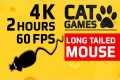 CAT GAMES - 🐭 LONG TAILED MOUSE