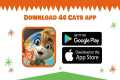 44 Cats | Download 44 Cats - The
