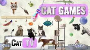CAT Games | Ultimate Cat TV Compilation Vol 61 | 2 HOURS 🐝🐞🦋🦎🦜🐜🐭🧵