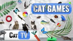 CAT Games | Ultimate Cat TV Compilation Vol 55 | 2 HOURS 🐝🐞🦋🦎🦜🐜🐭🧵