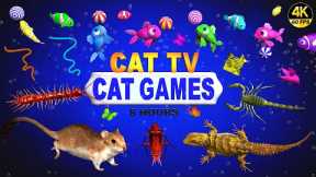 CAT GAMES | ULTIMATE CAT TV COMPILATION FOR FELINE FRIENDS | GAMES FOR CATS 😺 4K 8-HOURS