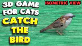 3D game for cats | CATCH THE BIRD (isometric view) | 4K, 60 fps, stereo sound