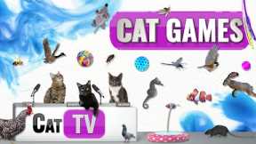 CAT Games | Ultimate Cat TV Compilation Vol 59 | 2 HOURS 🐝🐞🦋🦎🦜🐜🐭🧵